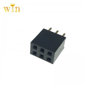 2.54mm Pitch 2x3P Socket Connector-Buchse